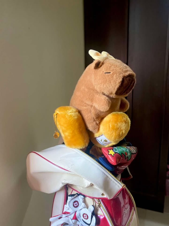 รีวิว Stitch